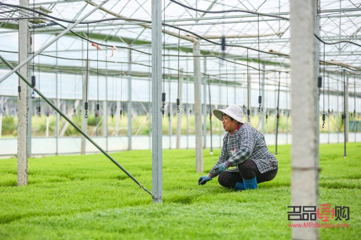 常州金店钻石可以换黄金吗(常州金店钻石可以换黄金吗现在)