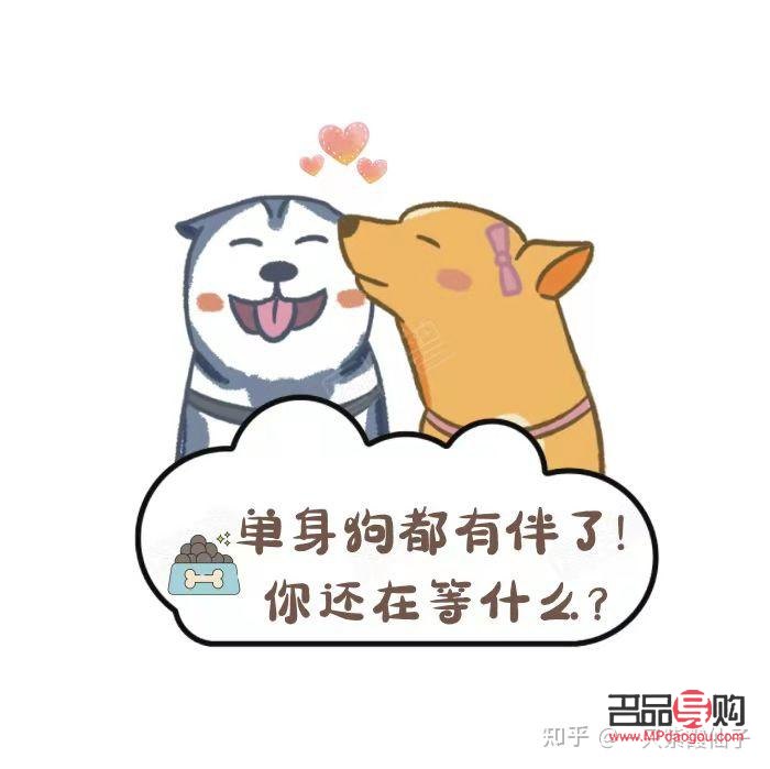 单身相亲需要什么礼物(单身相亲需要什么礼物呢)