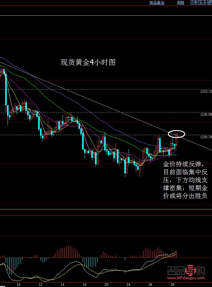 现货黄金行情深度解析与操作建议