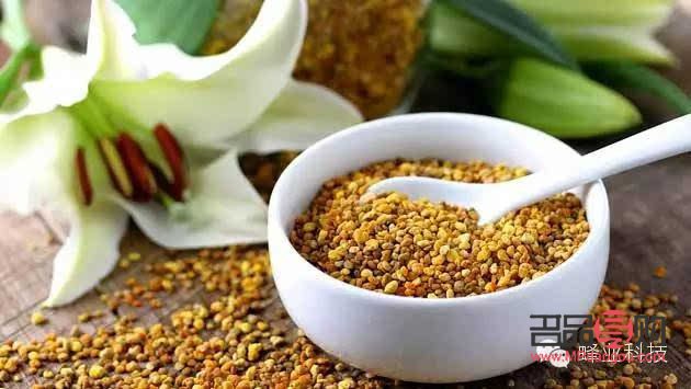 花粉美容功效大比拼，哪种花粉最适合你的肌肤？