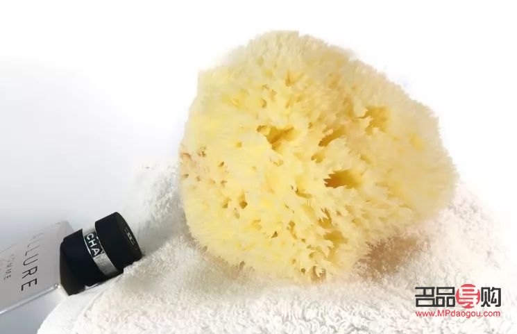 夏天头发身体护理好吗(夏天适合头发)