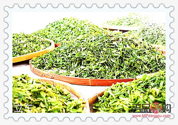 <h3>美容茶的制作与功效</h3> <h3>美容茶的制作与功效</h3>