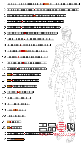 <h3>绘制护理身体分布图的步骤与技巧</h3>