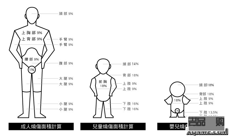 <h3>绘制护理身体分布图的步骤与技巧</h3>
