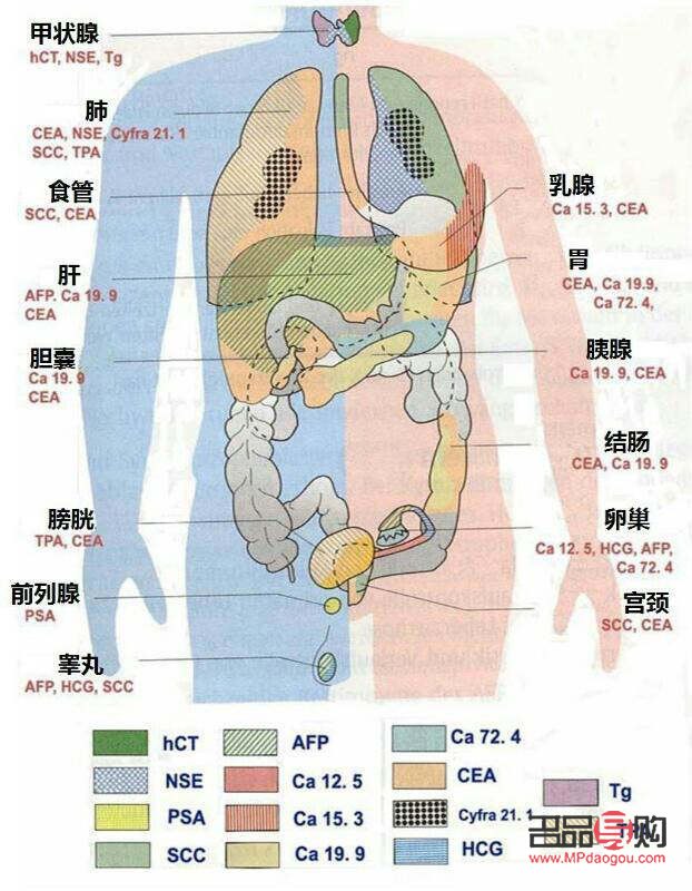 绘制护理身体分布图的步骤与技巧