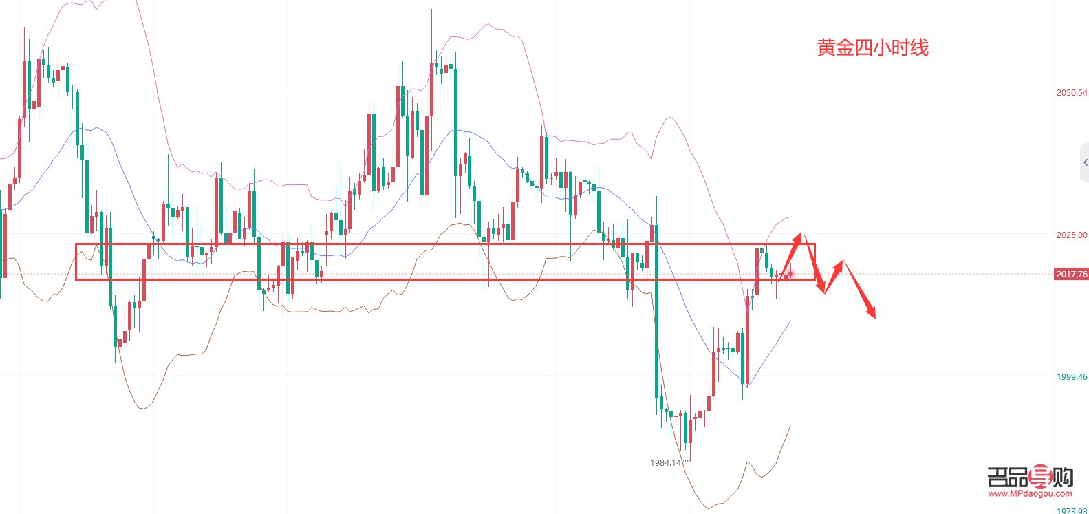黄金期货实时行情分析预测(黄金期货实时行情分析预测)