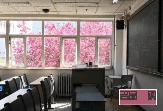 天琦美容怎么样(天琦美容怎么样好不好)