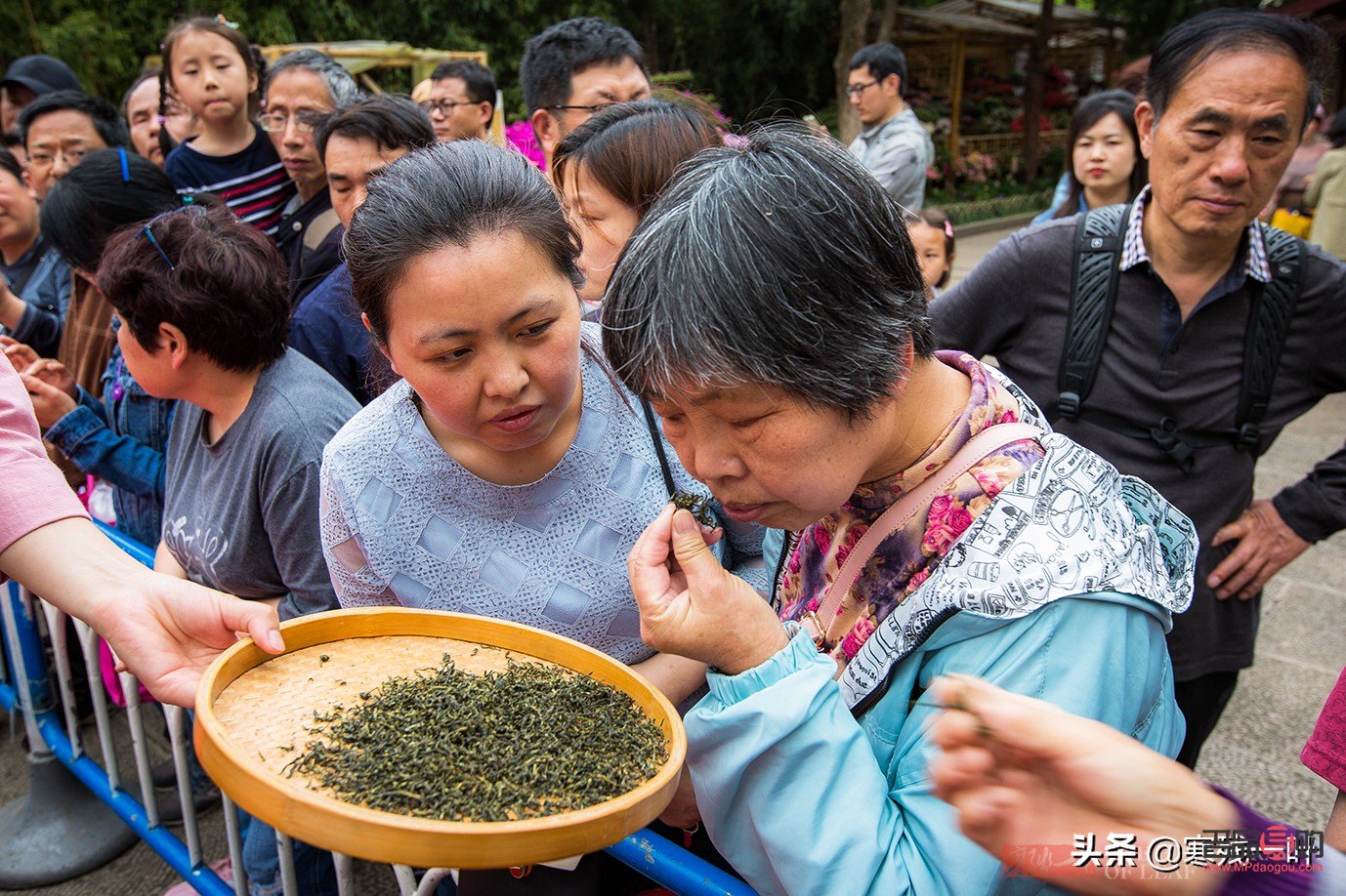 双眼皮5000贵吗(双眼皮五千贵吗)