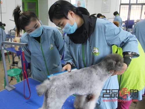 美容月总结怎么写(美容月总结怎么写 个人)