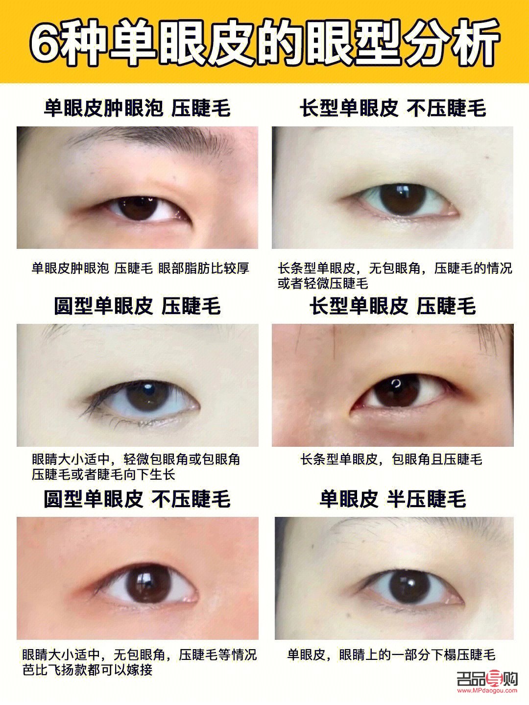 单眼皮眼型的种类图解(单眼皮眼型的种类图解大全)