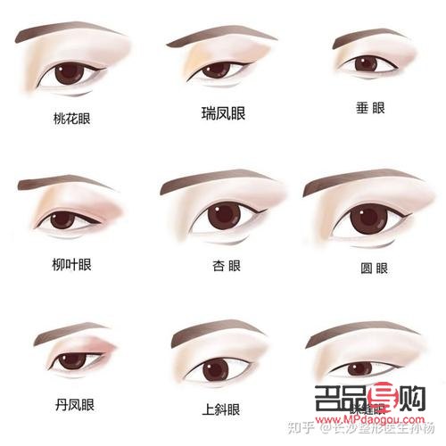 单眼皮眼型的种类图解(单眼皮眼型的种类图解大全)