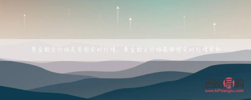 中国黄金期货交易所实时行情(中国黄金期货交易所实时行情走势)