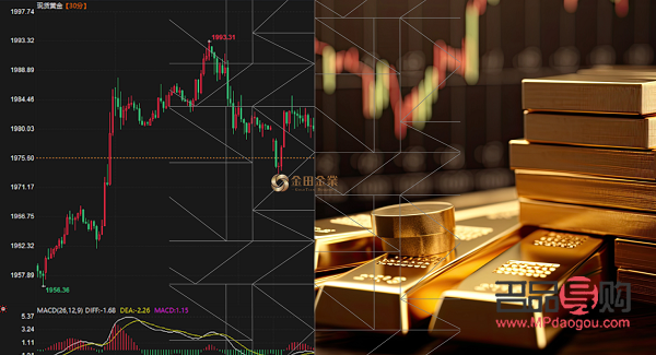 黄金的投资有哪些(黄金的投资有哪些方面)