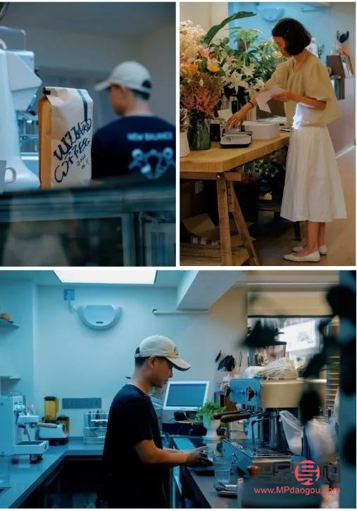 坚果美容之谜：滋养肌肤的天然宝藏