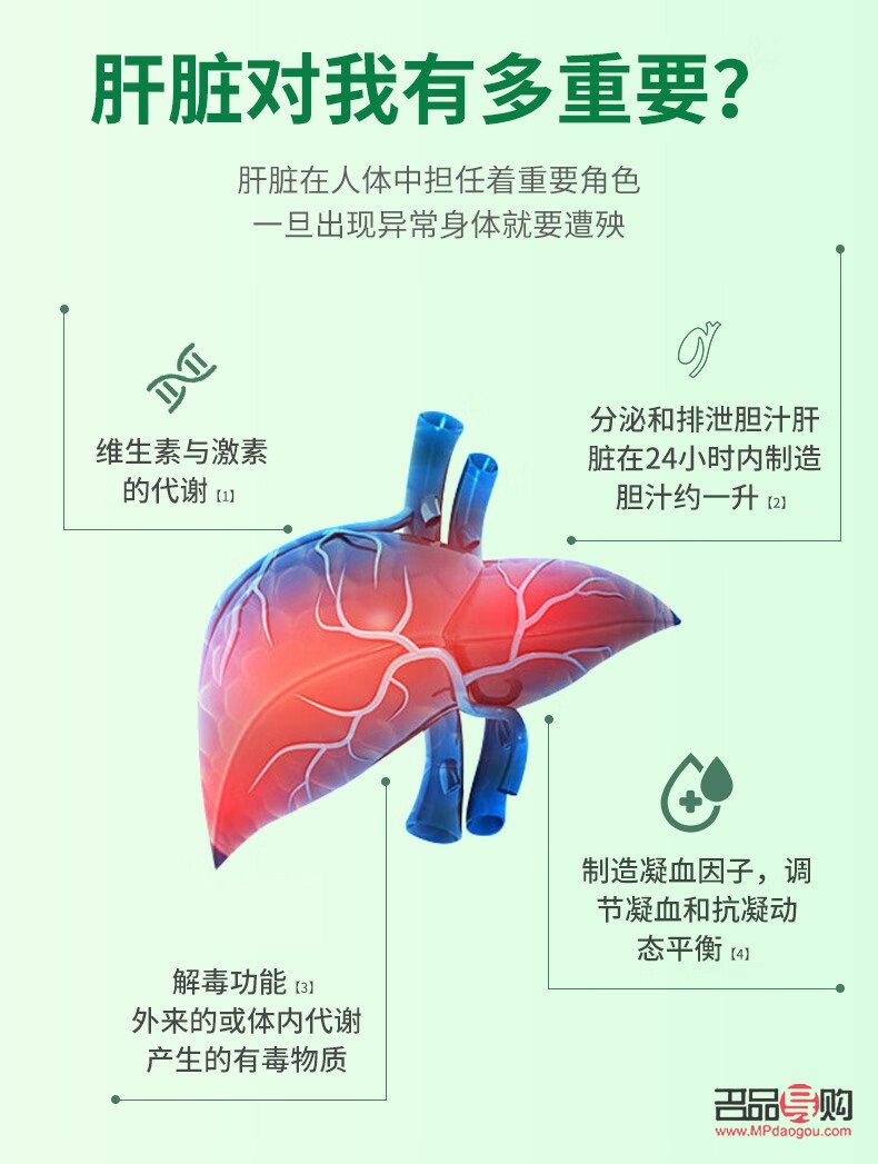 身体护理对肝脏的保健作用