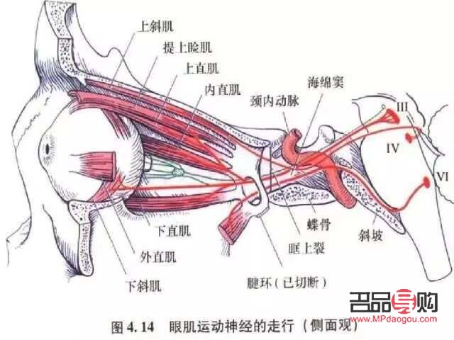 <h3>眼周神经痉挛的治疗方法</h3> <h3>眼周神经痉挛的治疗方法</h3>