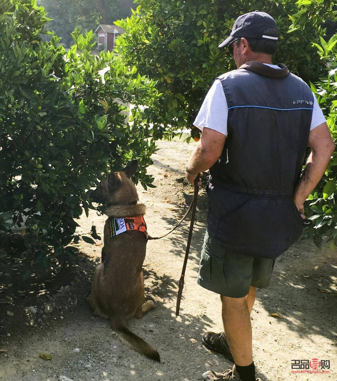 <h3>画狗眼睛如何画得晶莹剔透</h3>