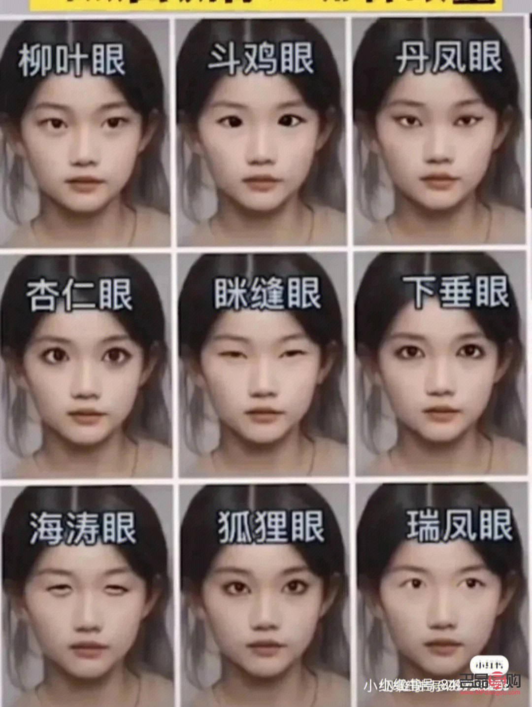 女孩左双右单是什么眼(女孩左双右单是什么眼型)