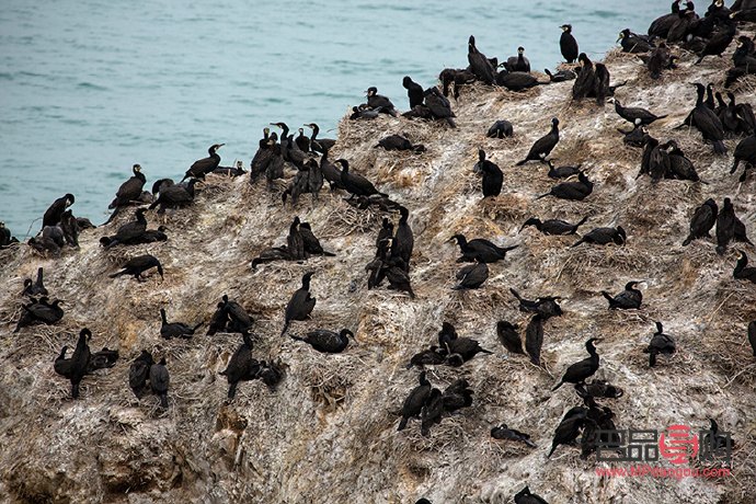 眼睛外突出怎么办(眼睛外突出怎么办能治好吗)