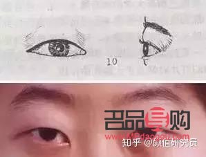 双眼皮的多样眼型图解