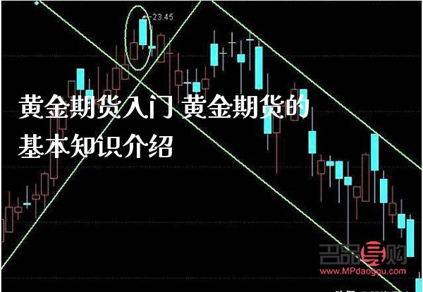 炒黄金期货入门(炒黄金期货入门教程)
