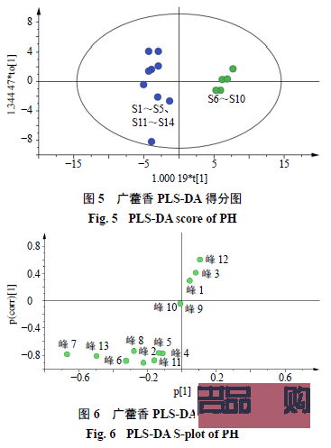 哪个是美容指(哪个是美容指纹的标志)