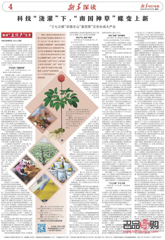 <h3>三七粉美容秘籍：焕发肌肤光彩的东方神草</h3>