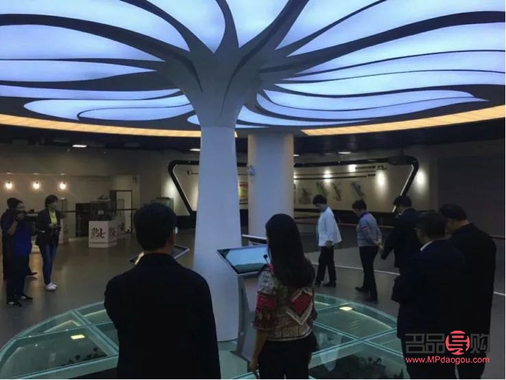 三七粉美容秘籍：焕发肌肤光彩的东方神草