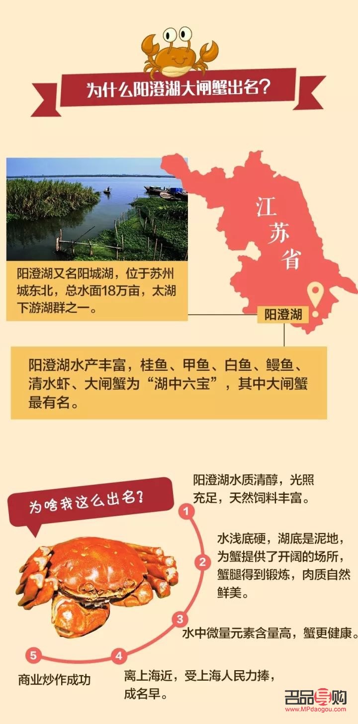 芮臻彩妆如何(芮臻彩妆如何辨别真假)