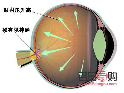 中年之后，如何科学护理身体？