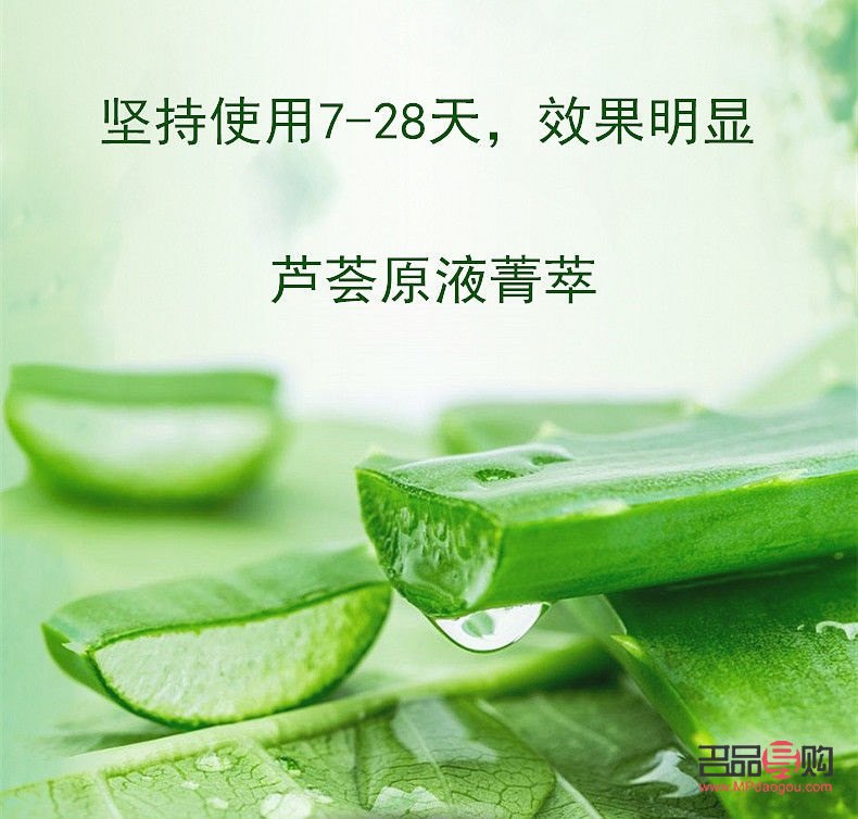 <h1>芦荟叶的美容奥秘：自然护肤的绝佳选择</h1>