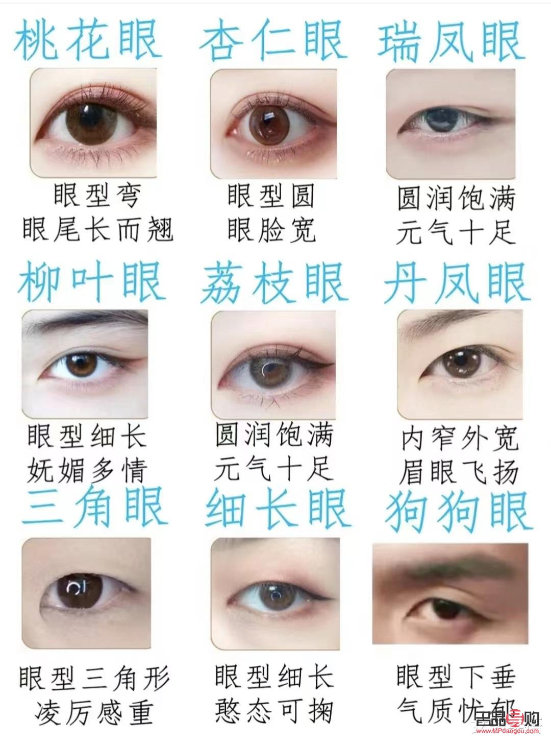 <h3>探索十大最美眼型：魅力之眼，灵魂之窗</h3>