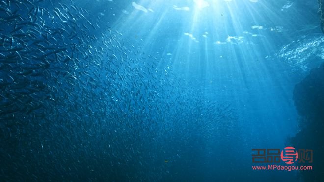 <h3>大声说出你的心愿：探讨礼物背后的意义与价值</h3>