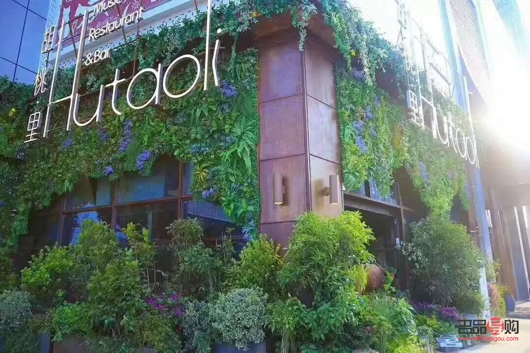 <h3>美容院门口绿化之选：增添雅致的植物推荐</h3>