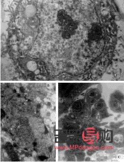 <h3>美容凝胶使用全攻略</h3>