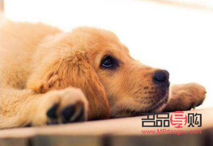 日常怎么护理身体好(日常怎么护理身体好呢)