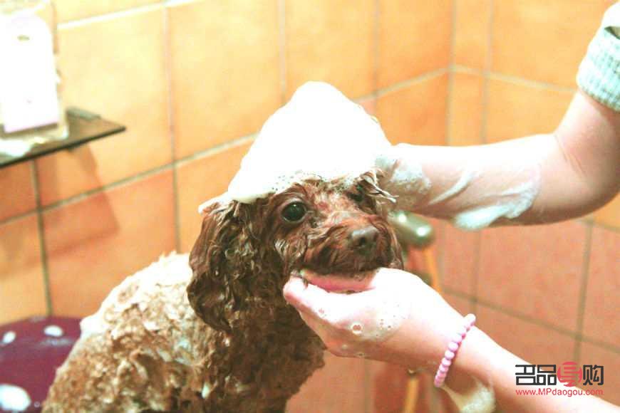 洗澡会美容吗(洗澡会美容吗)