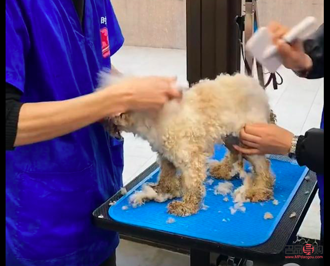 洗澡会美容吗(洗澡会美容吗)