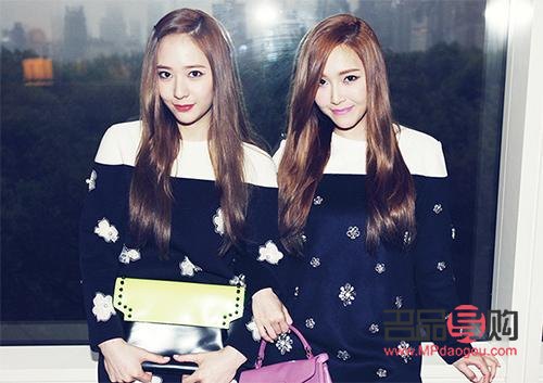 <h3>比熊犬的美容周期：多久做一次最为适宜？</h3>