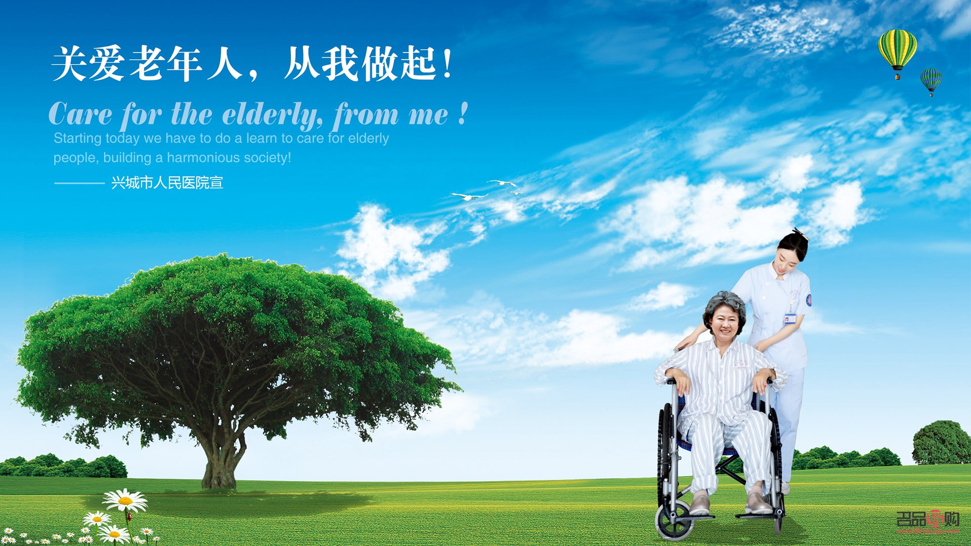 <h3>关爱长者，科学护理老人身体</h3>