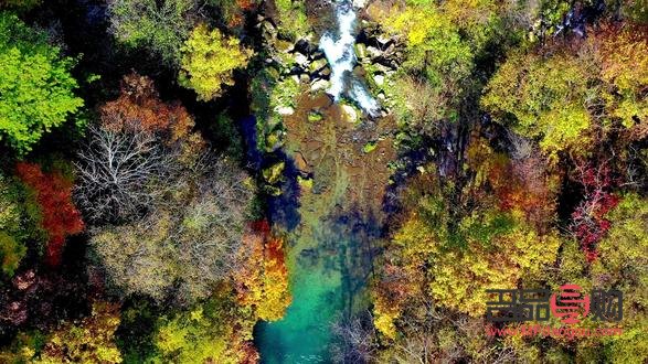 哪儿有学美发美容(哪儿有学美发美容的地方)