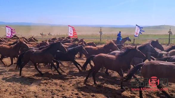 美容冠会掉么(美容冠会轻易掉下来吗)