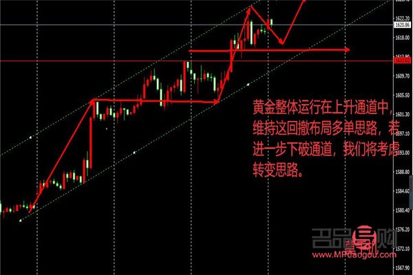 期货美黄金行情走势(期货黄金行情走势图)