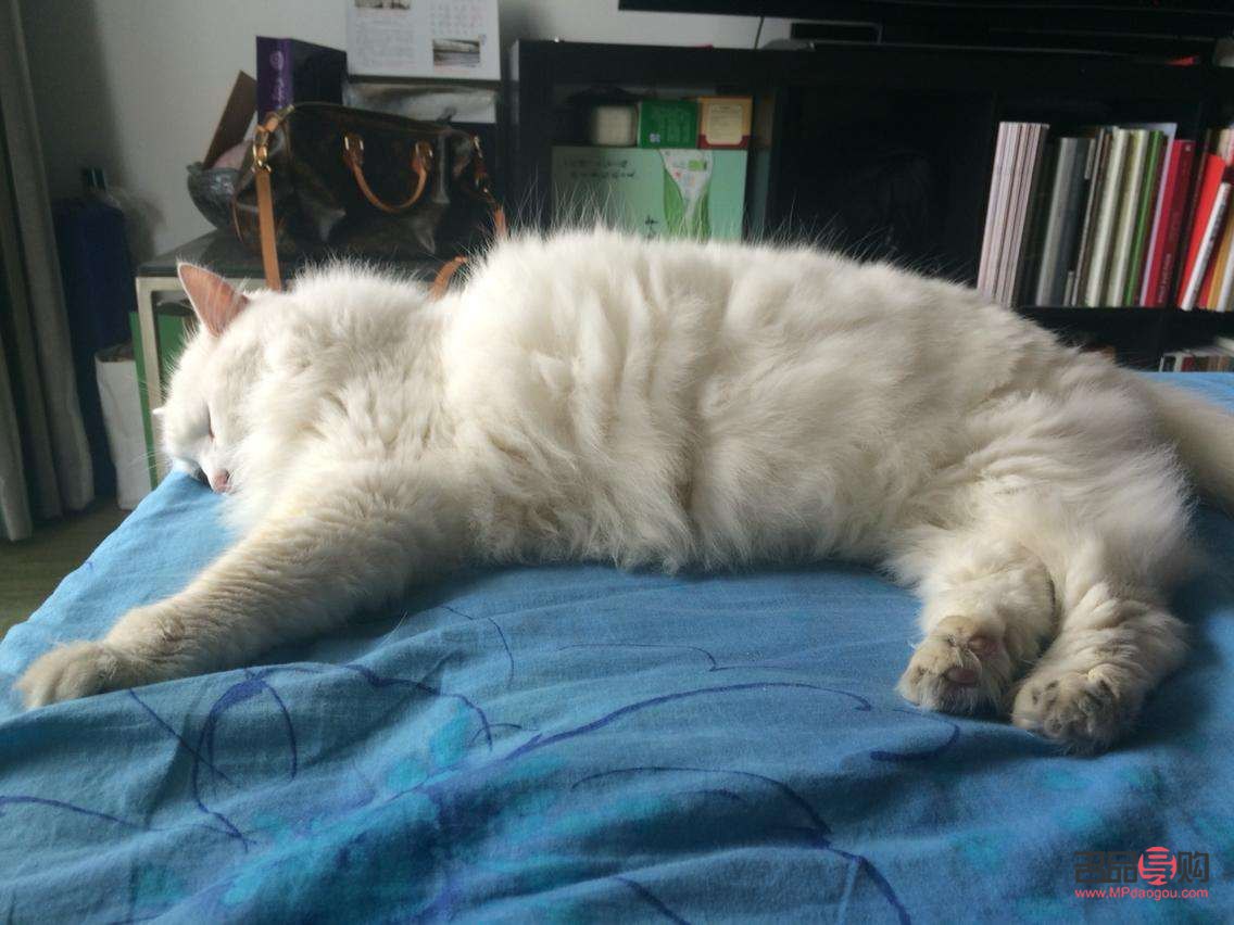 <h3>怀孕身体护理全攻略：呵护未来妈妈和宝宝的健康</h3>