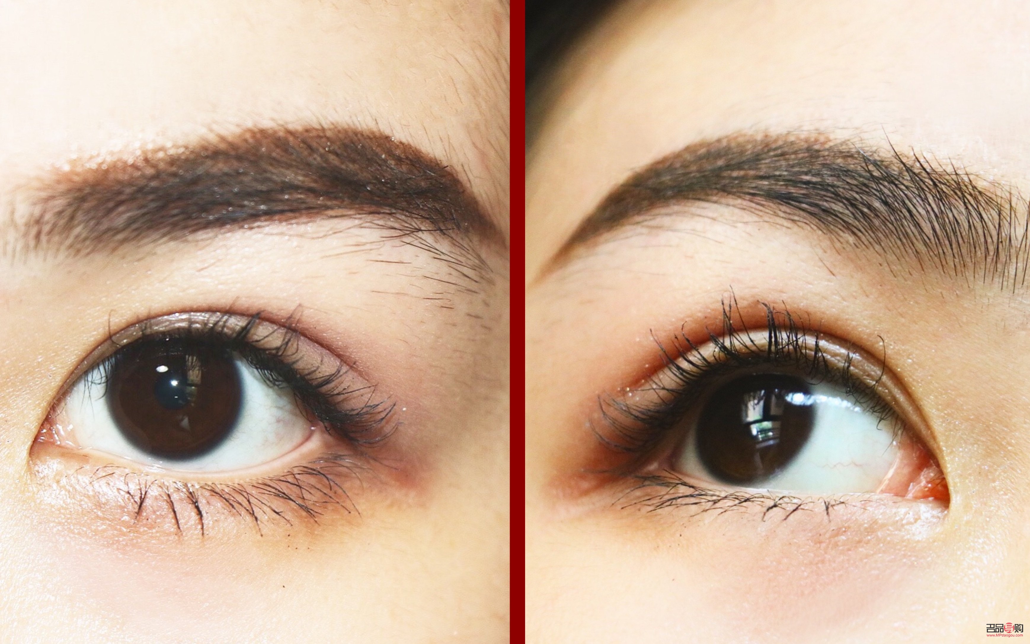 烫睫毛图片 效果图眼尾下垂(烫睫毛图片 效果图眼尾下垂怎么办)