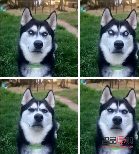 金店里面的玉是真是假(玉一般戴多久就认主人)