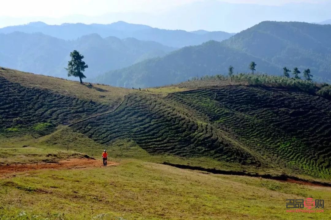 <h3>探索美容院：美丽之旅的起点</h3>