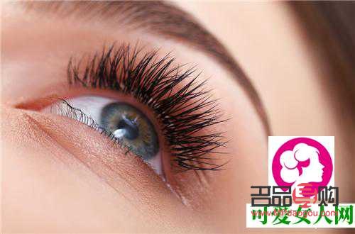 6D翘睫双眼皮：塑造迷人电眼的秘密武器