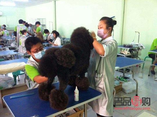 美容行业正规吗(美容行业正规吗现在)