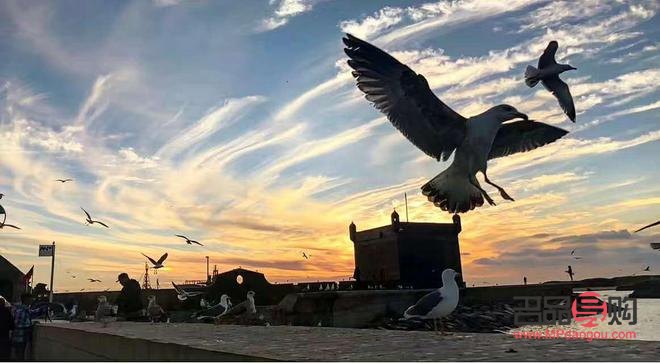 <h1>如何成功开设美容店</h1>